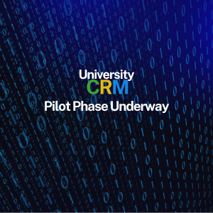 Pilot Phase